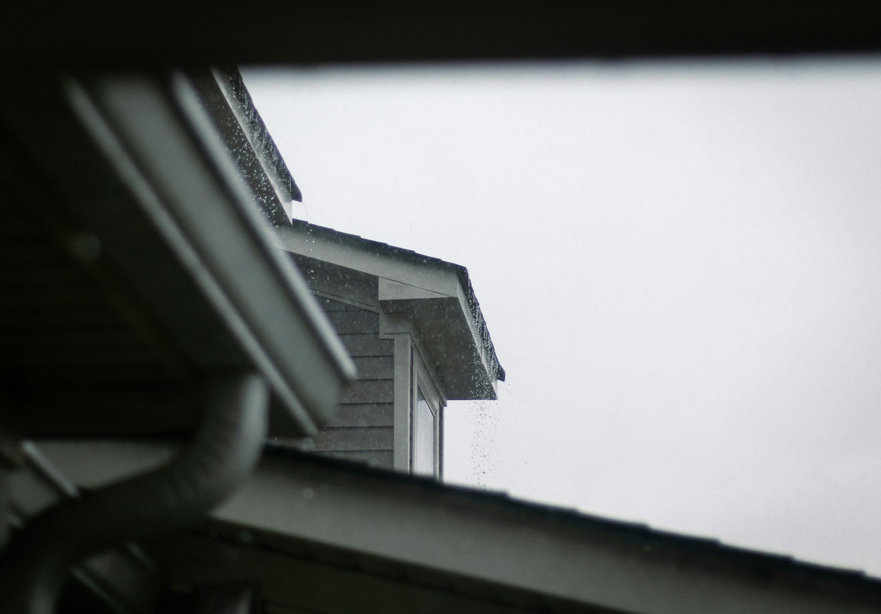 Roof and gutter documentation from ground level